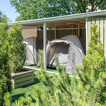 Garden Camping Tallinn Exteriör bild