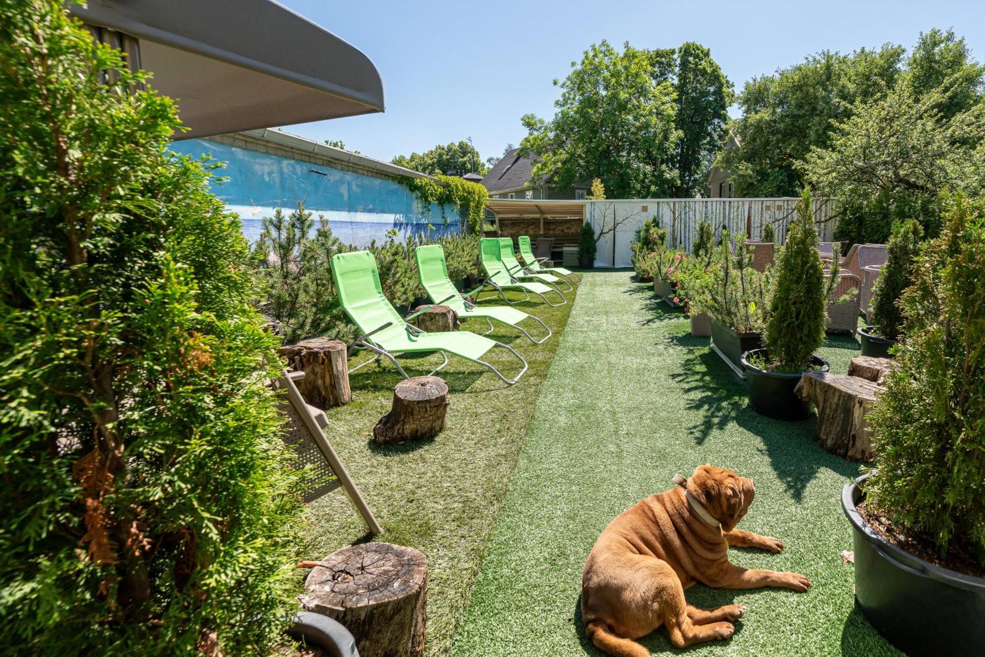 Garden Camping Tallinn Exteriör bild