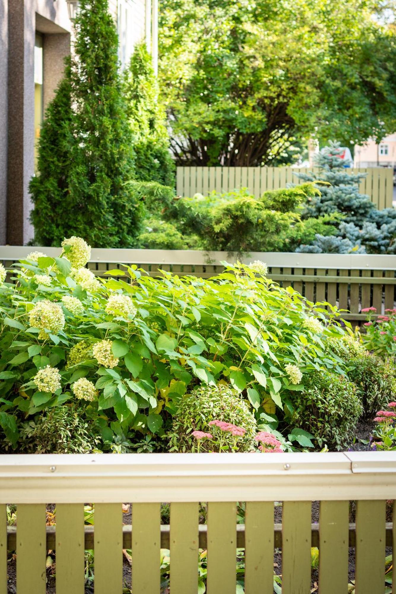 Garden Camping Tallinn Exteriör bild